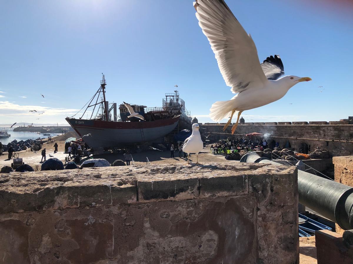 De La 3* Essaouira